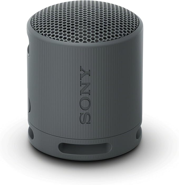 Sony SRS-XB100 Waterproof Travel Speaker
